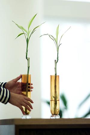 フランスベッドは日本のブランドです