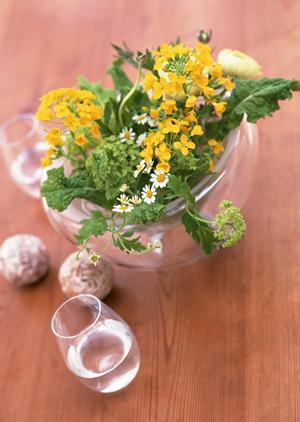 マリメッコカーテンで北欧の風を我が家に